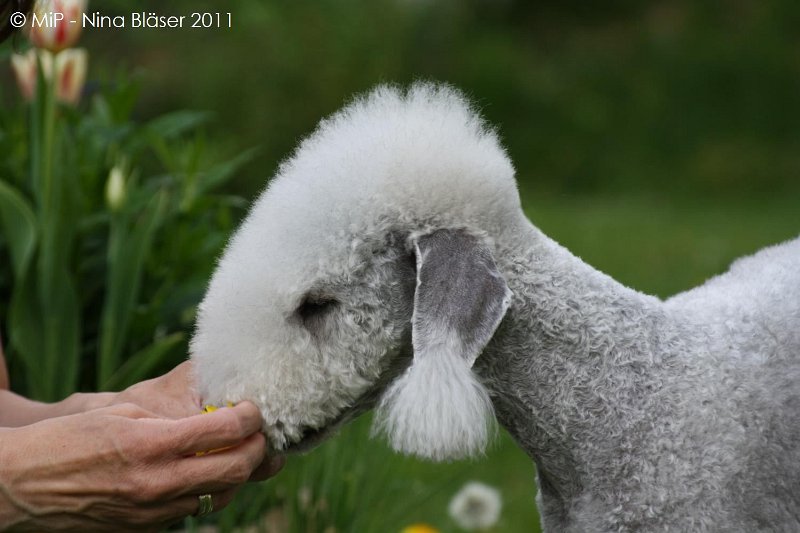 2011-04-23 Quincy etc (16).jpg